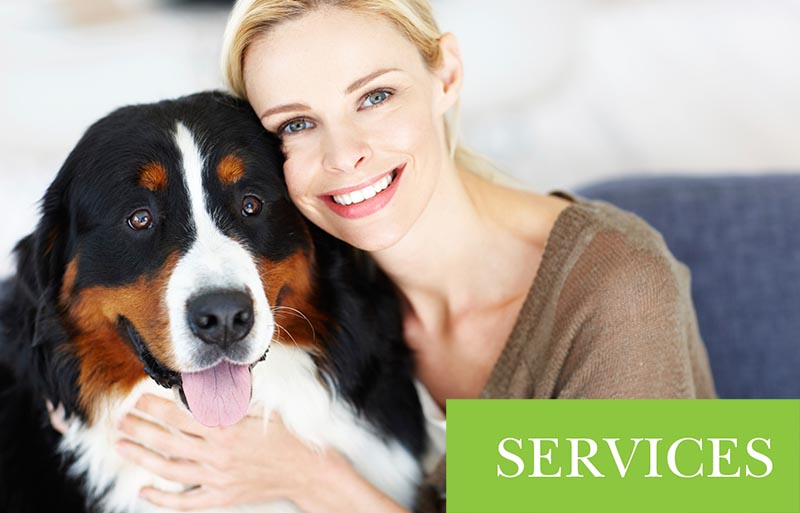 Western Veterinary Group Services