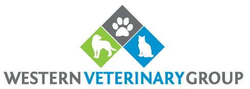 Western Veterinary Group - Full Service Veterinary Hospital in Torrance